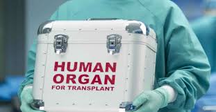 تجارة الاعضاء وعلاقتها بالدرك ويب وتورط الاطفال